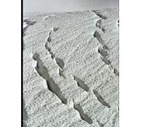 The Compendium of Archonic Physics and Society