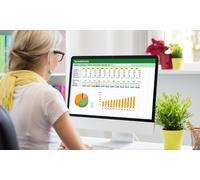 The Complete Microsoft Excel Course (L1-3)