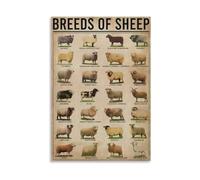 The Complete Sheep Breeds Poster - Knowledge Wall Art for Animal Lovers, Teachers, FFA and Agricultural Students(Unframed,12X18inch(30X45cm))
