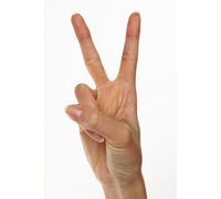 THE CONFIDENT TRANSLATOR: Skills, Strategies, and Credibility