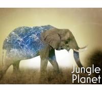 The Conquered Forest: Iberian Oak Forests