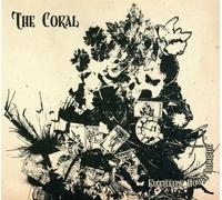 The Coral - Butterfly House (Acoustic Version)