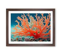 The Coral Reef Vol.1 Framed Print | A3 Walnut Framed Wall Art | Ready to Hang | Modern Nature Picture | Living Room Bedroom Lounge Office
