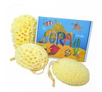 The Coral Scrubs - Family Bath Sponge, 3 Pack Sea Sponges Bath, Shower Sponge, Baby Sponges for Bath Newborn, Bath Sponges for Adults, Kids Bath Sponge.