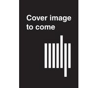 The Cory Arcangel Hack : Digital Culture and Aesthetic Practice