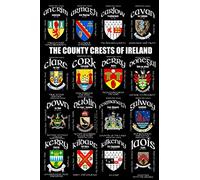The County Crests of Ireland: 120 Page 6x9 Lined Notebook Journal Featuring the 32 County Crests of Ireland on the Cover