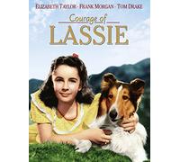 The Courage of Lassie