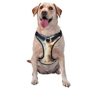 The cozy little dog reflective Oxford unobstructed pet vest, easy to control handle, suitable for small, medium and large dogs