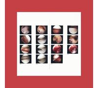 The Cradle - Laughing In My Sleep (LP) [VINYL]