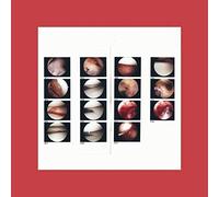 The Cradle - Laughing In My Sleep (LP) [VINYL]
