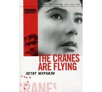 The Cranes Are Flying [1957] (REGION 1) (NTSC) [DVD] [US Import]