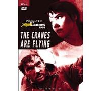 The Cranes are Flying (DVD NTSC)