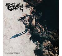 The Crawling - Anatomy Of Loss