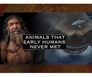 The Creatures & Animals That Early Humans Never Met