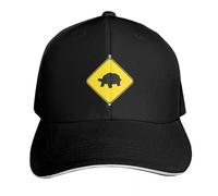 The Crossing 2.3 Baseball Cap Fishing Cap Designer Cap Big Size Hat Man Women's,Gift