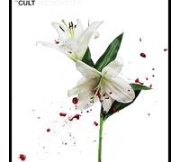 The Cult - Hidden City