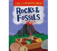 The Curiosity Box: Rocks and Fossils