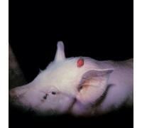 The Damned - Strawberries (40th Anniversary 2 CD Edition)