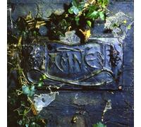 Black Album by The Damned (Record, 2016)