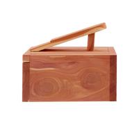 The Dandy Sparrow Cedar Wood Shoe Shine Box Interiors by Premier Brown One Size