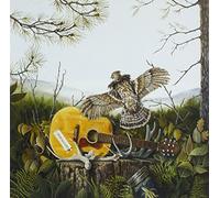 The Dandy Warhols - This Machine