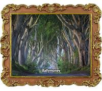 The Dark Hedges Ballymoney Northern Ireland UK Tourist Souvenir Refrigerator Magnet Fridge Decoration Magnets