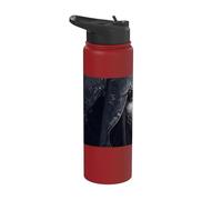 The Dark Witch and her Magic Stainless Steel Insulated Water Bottle