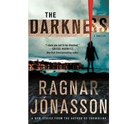 The Darkness: A Thriller: 1 (Hulda)