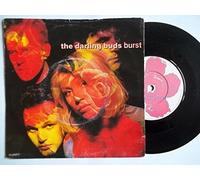The Darling Buds - Burst / Big Head [Vinyl Single]