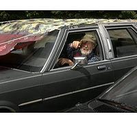 The Day of the Sunflowers