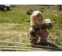 The Day The Cattle Swam