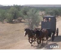 The Day They Stole the Salamander