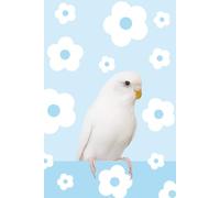 The Daydreaming Edna Notebook