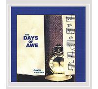 The Days of Awe: Meditations for Selichot, Rosh Hashanah, and Yom Kippur