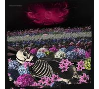 Dead Rabbitts - Redefined [VINYL]