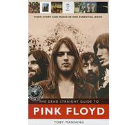 The Dead Straight Guide to Pink Floyd (Dead Straight Guides)