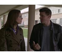 The Death of the Queen Bee