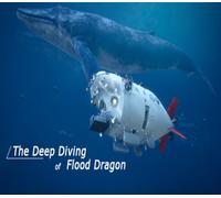 The Deep Diving of FloodDragon Steam CD Key