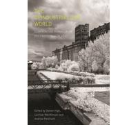 The Deindustrialized World : Confronting Ruination in Postindustrial Places
