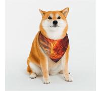 The Desert at Dawn Pet Scarf Stylish Triangle Bid Scarf Bandana Pet Accessory,Washable Pet Kerchief for Girl Boy Dogs or Cats Medium