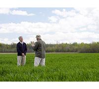 The Design of Earth & Stars : Wheat Field & Reelfoot Lake