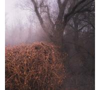 Devil'S Trade,the - Nincs Szennyezetlen Szép (Ltd Your Pieces Scattered Lp) [VINYL]