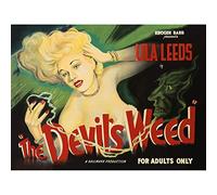The Devils Weed Reefer Poster Art Print Canvas Premium Wall Decor Poster