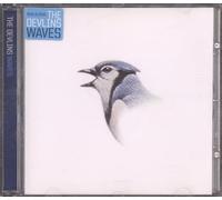 The Devlins - Waves