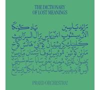 The Dictionary Of Lost Meanings [VINYL]