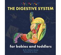 The Digestive System for Babies and Toddlers