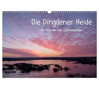 The Dingdener Heide in the change of the seasons UK-Version (Wall Calendar 2026 DIN A3 Landscape), CALVENDO 12 Month Wall Calendar