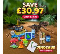 The Dinosaur Mystery Box