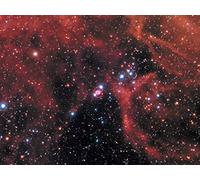 The Discoverers of Exploding Stars