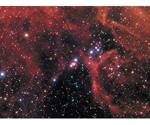 The Discoverers of Exploding Stars